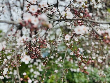 ΢��ͼƬ_20241223142423