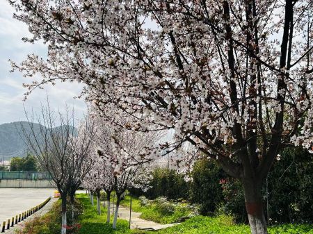 ΢��ͼƬ_20241223142434