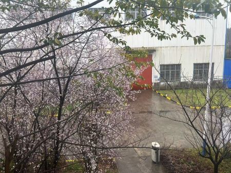 ΢ÐÅͼƬ_20250325105337 ΢ÐÅͼƬ_20250325105337