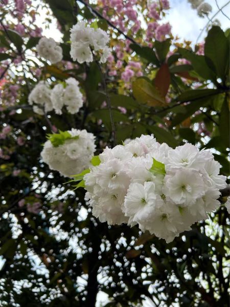 ΢ÐÅͼƬ_20250325105347 ΢ÐÅͼƬ_20250325105347