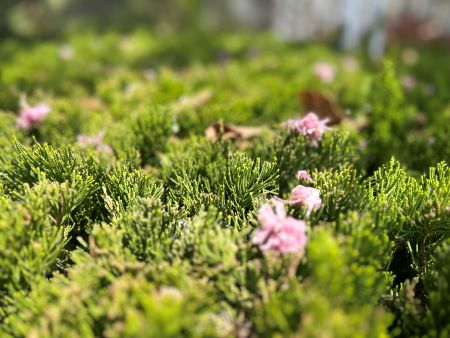 ΢��ͼƬ_20250411110610