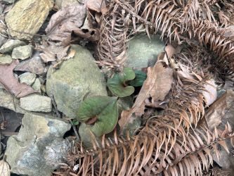 ΢��ͼƬ_20250423162452