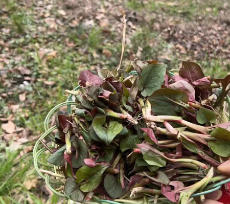 ΢��ͼƬ_20250423163323