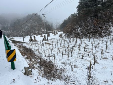 ΢��ͼƬ_20260104105535